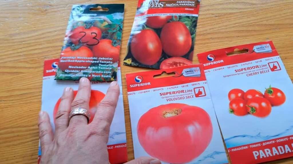 Sorte paradajza