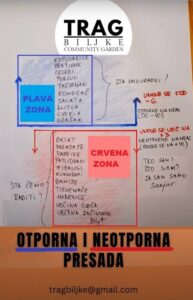 plava i crvena zona