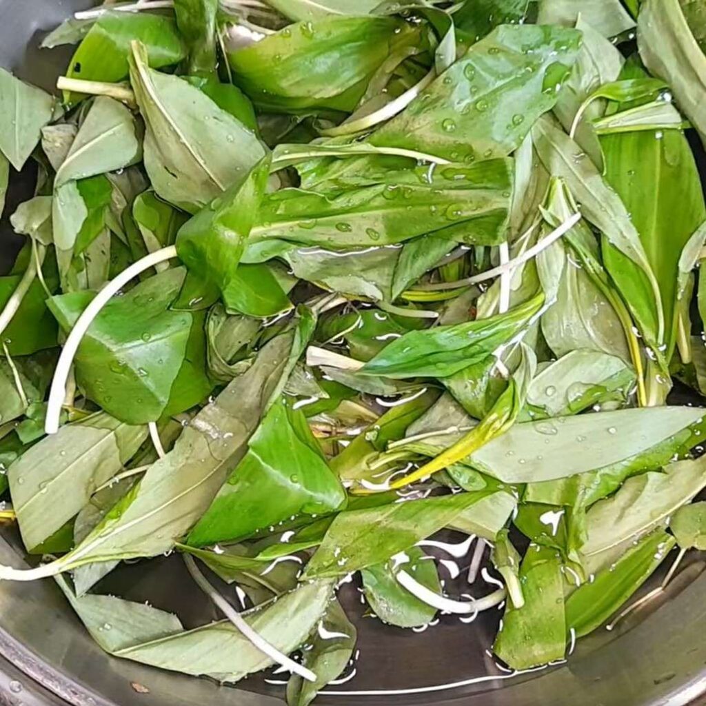 sremus preparat