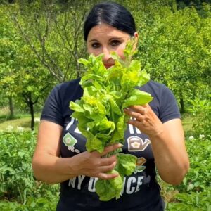 procvetala zelena salata