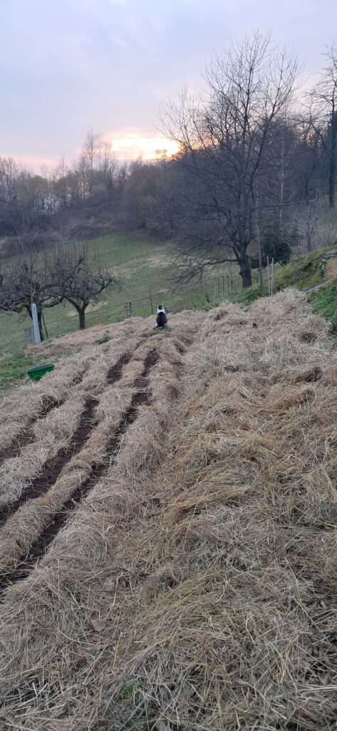 Testimonijal Ida Katicic Bogdan