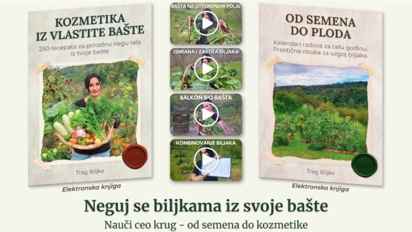 Edukativni paket
