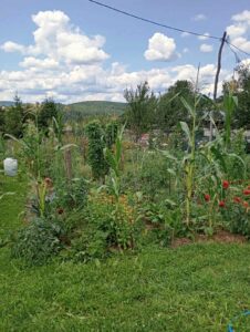 Foto galerije bastovana iz ucionice