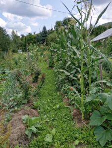 Foto galerije bastovana iz ucionice