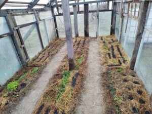 Foto galerije bastovana iz ucionice