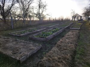 Foto galerije bastovana iz ucionice