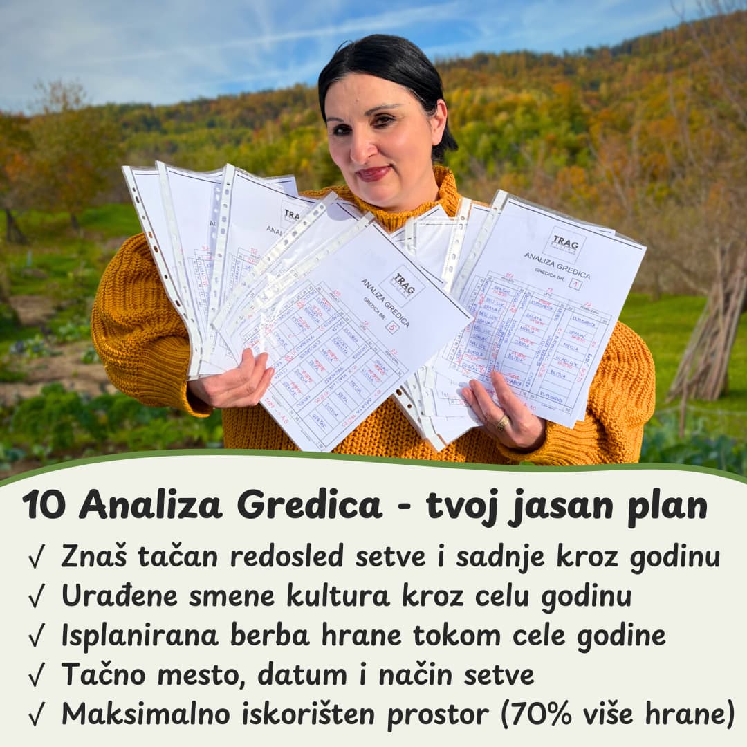 Projekat baste za 10 gredica