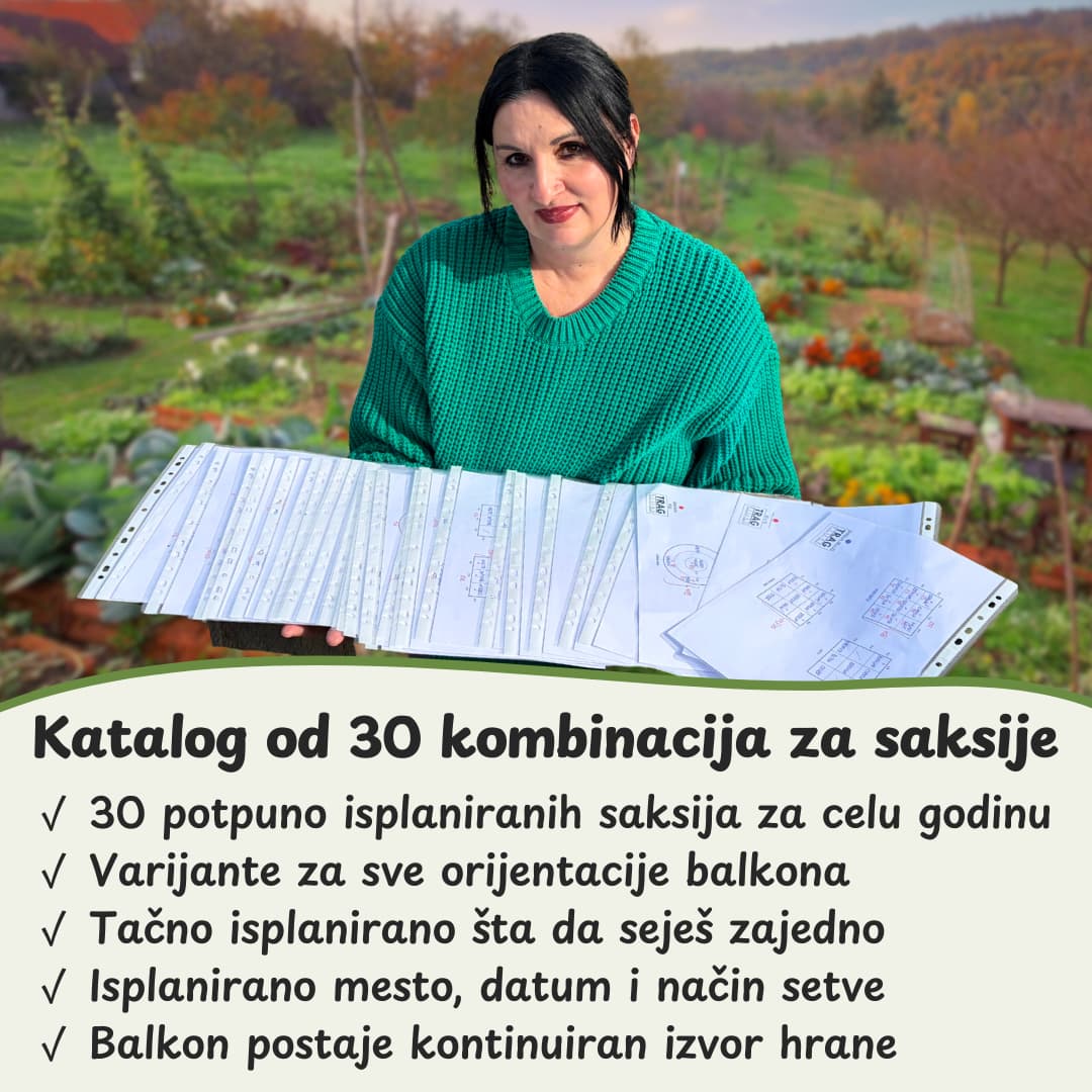 Projekat balkon bio baste