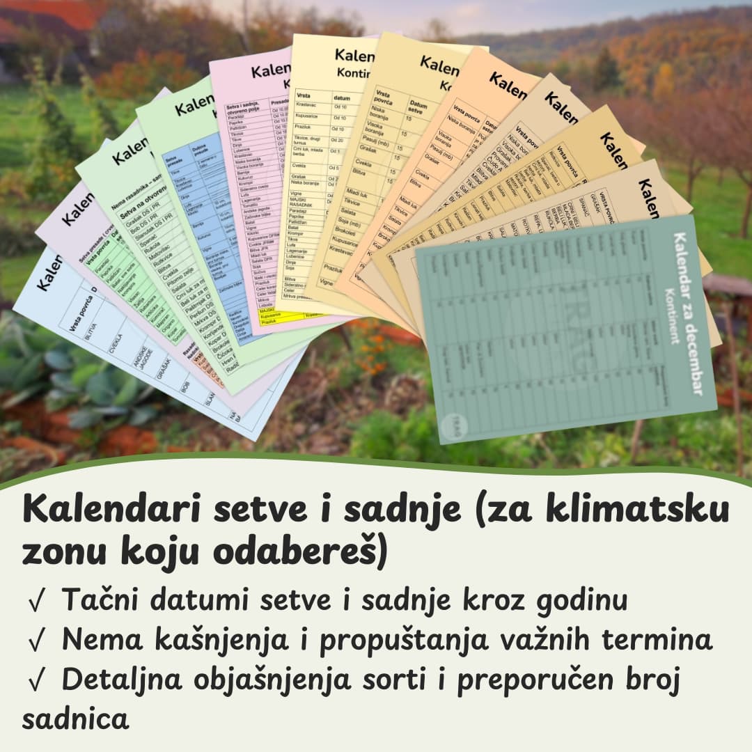 Projekat balkon bio baste