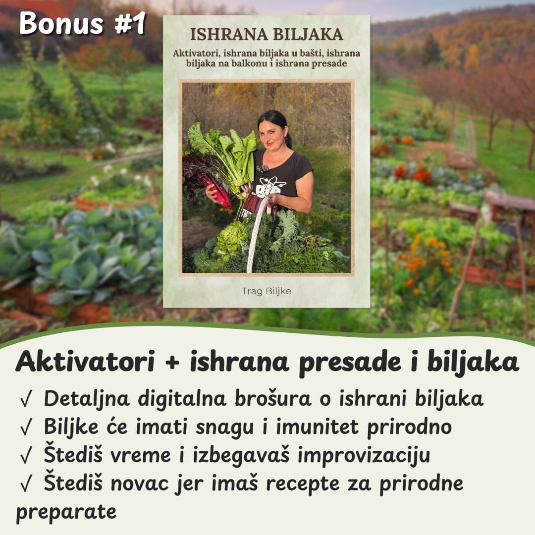 Projekat balkon bio baste