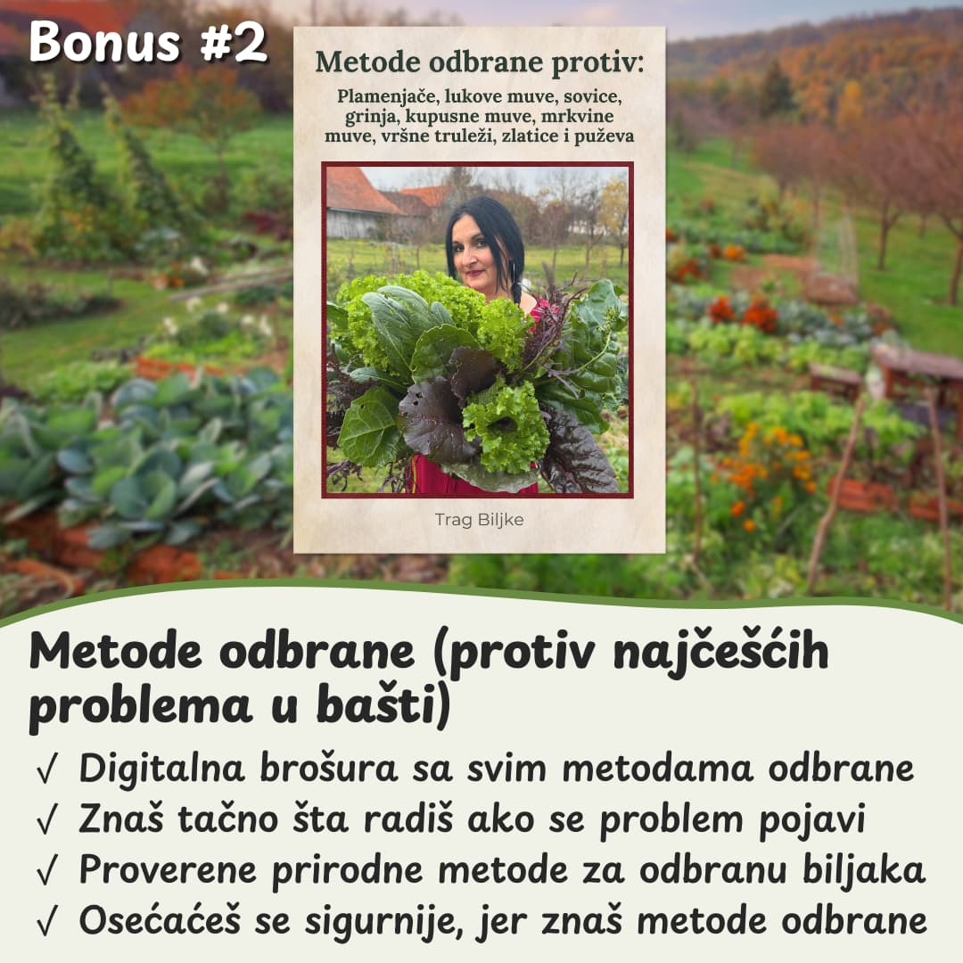 Projekat balkon bio baste