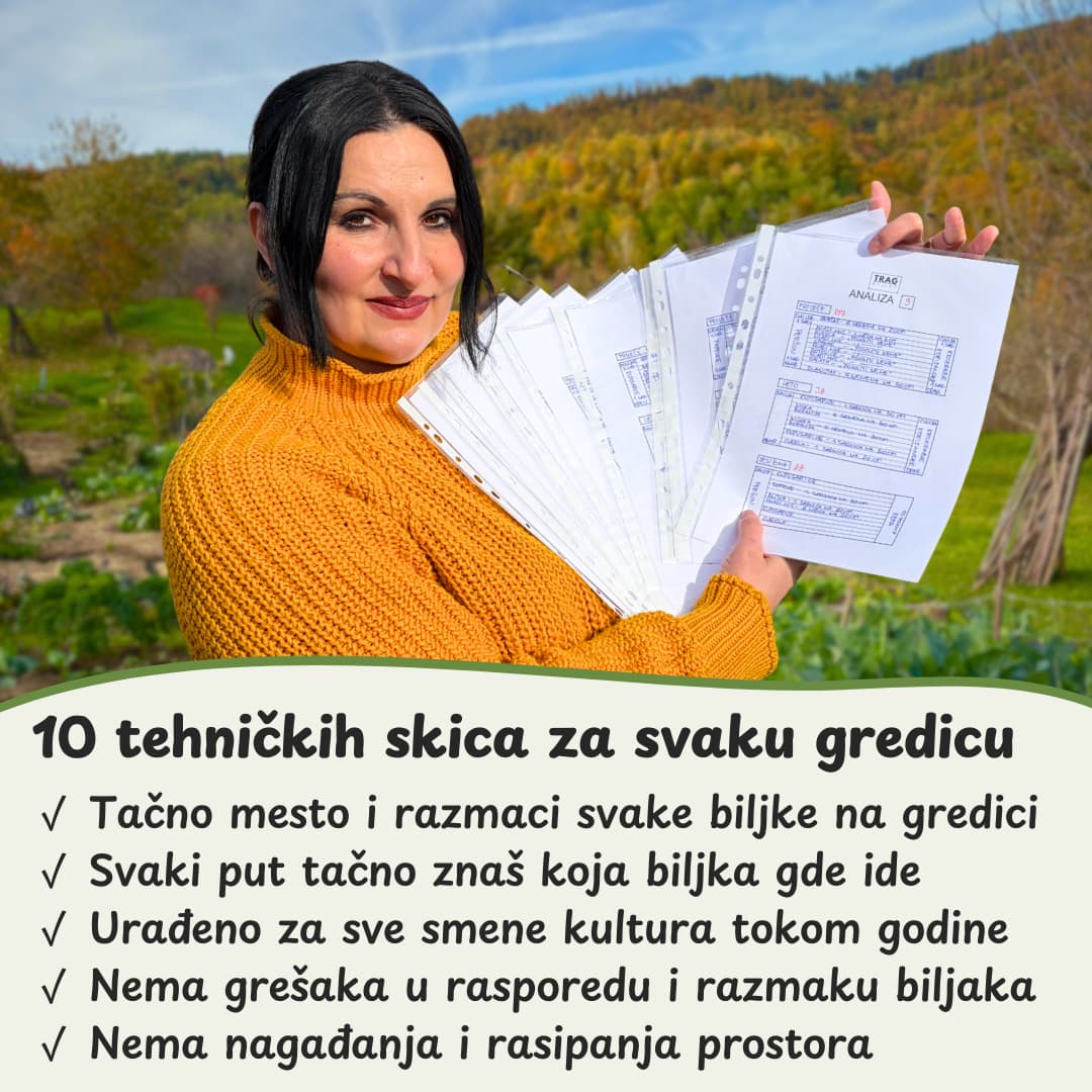 Projekat baste za 10 gredica