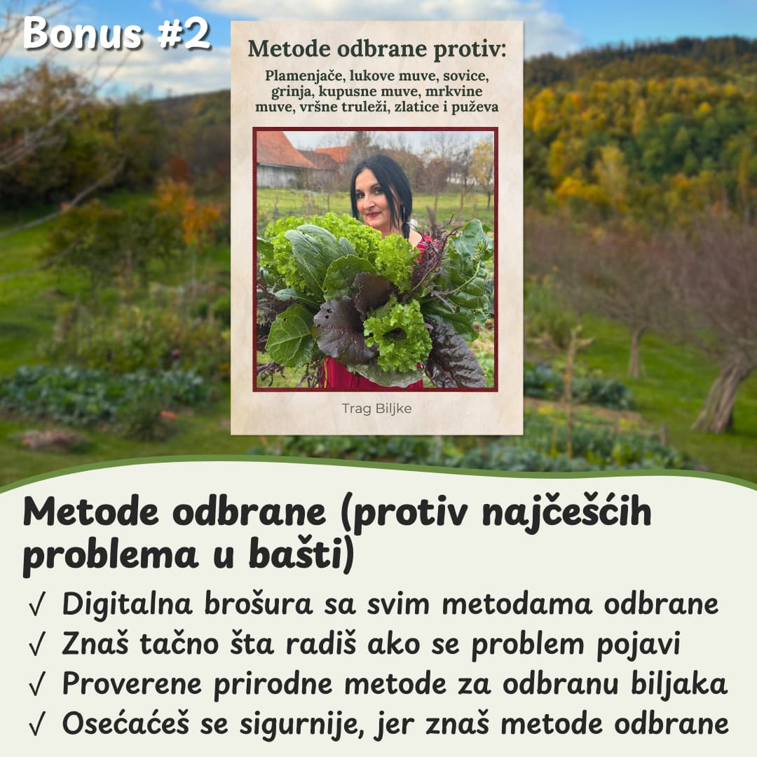 Projekat baste za 10 gredica