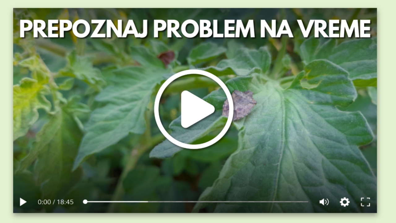 Video-vodič za prepoznavanje štetnih organizama i problema u bašti